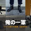 ショベル乗りの装備コラージュ（SHORTY4・エンジニアブーツ・プロクラブ・工具・VANS・ASHオイル）