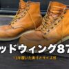 レッドウィング875 13年使用レビューのサムネイル