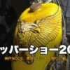 ニューオーダーチョッパーショー2026 現地レポートのアイキャッチ 神戸